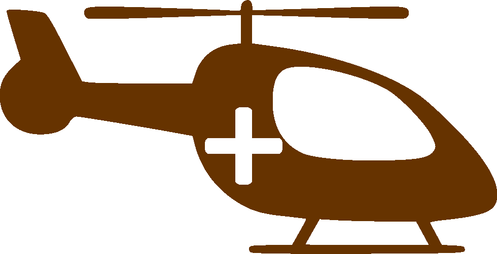 <span style="color: rgb(102, 51, 0);">Осуществляем </span><span><strong>выезд операционной бригады для выполнения нейрохирургического вмешательства на месте</strong></span>